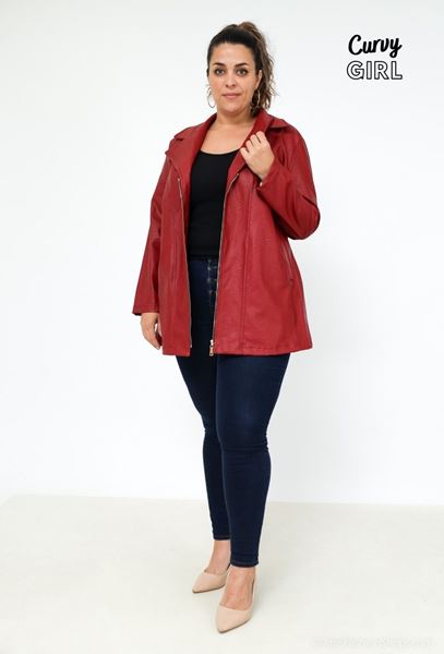 Picture of PLUS SIZE ZIPPED HOODED SUEDE JACKET